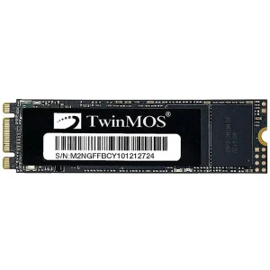 اس اس دی توین موس مدل NGFFEGBM2280 ظرفیت 256 گیگابایت